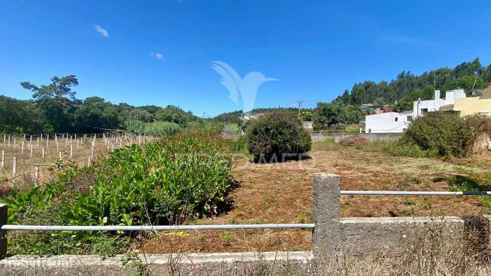 Ruina com Terreno Rio Maior - Abuxanas