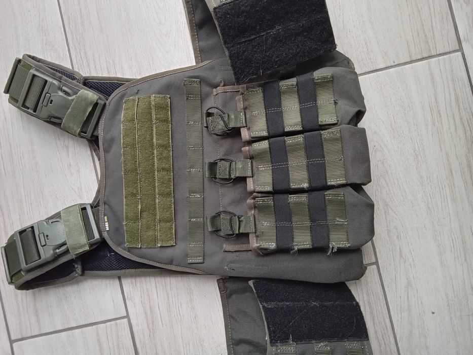 Плитоноска (олива)