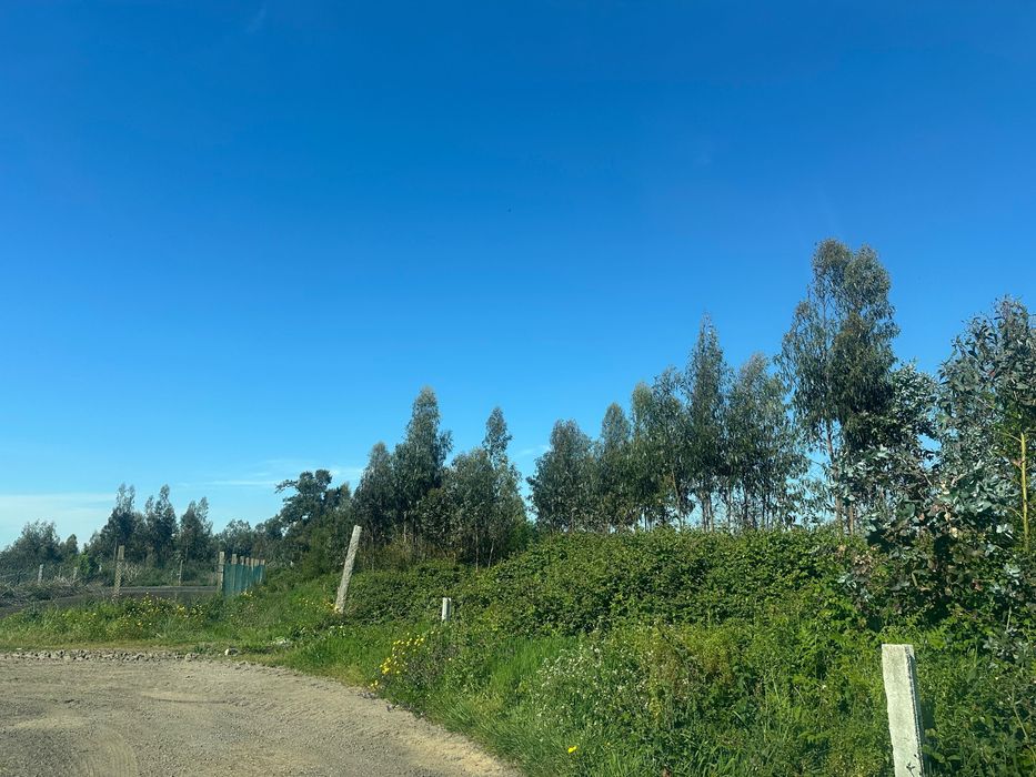Terreno 6000m² em Vilar – Vila do Conde | Zona Industrial