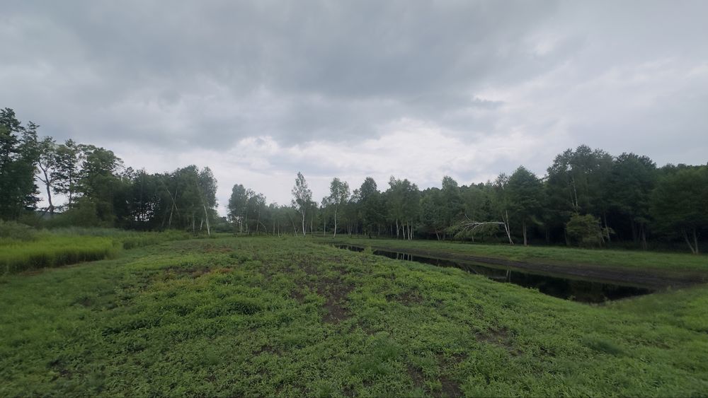 Ділянка під дачу, відпочинковий комплекс, базу відпочинку.