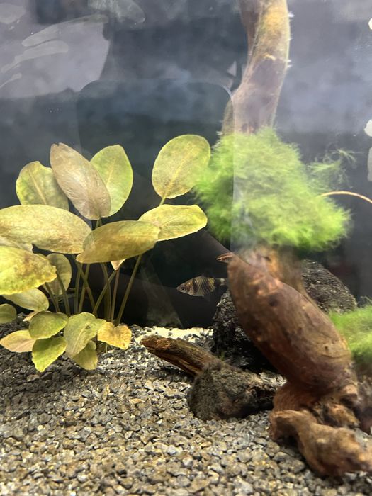 Acessorios para aquario