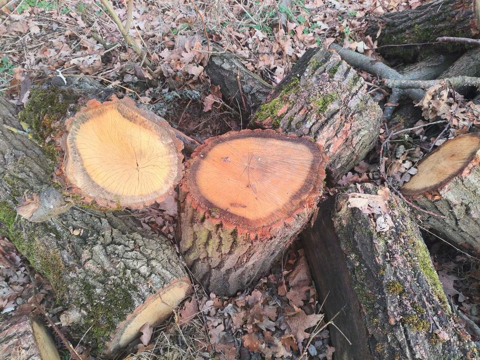 Sprzedam drewno opałowe - dębina, sezonowane , suche
