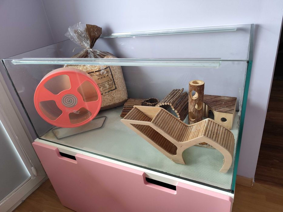 Akwarium dla gryzonia