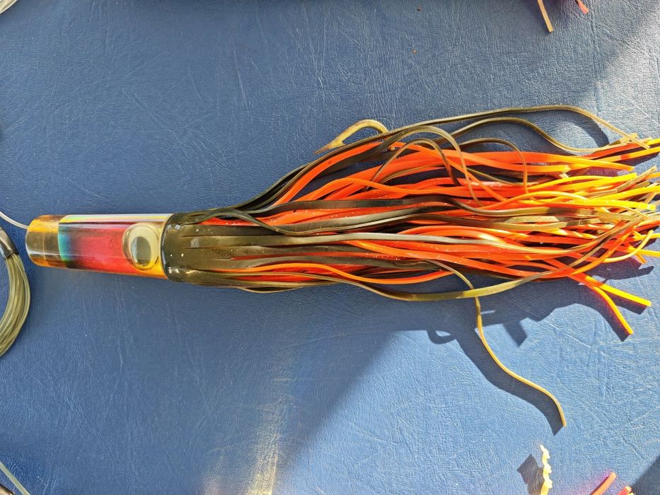 Amostras pesca curricar atum espadarte ....