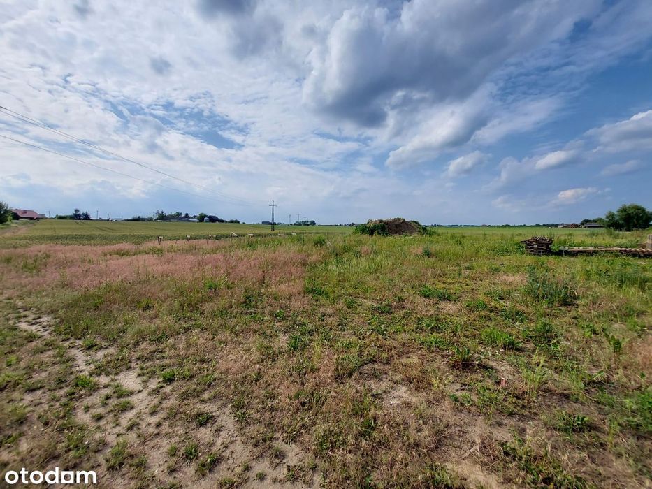 Działka 1386 m² z PROJEKTEM i POZWOLENIEM NA BUDOWĘ! Pigża k. Torunia - Widok 5