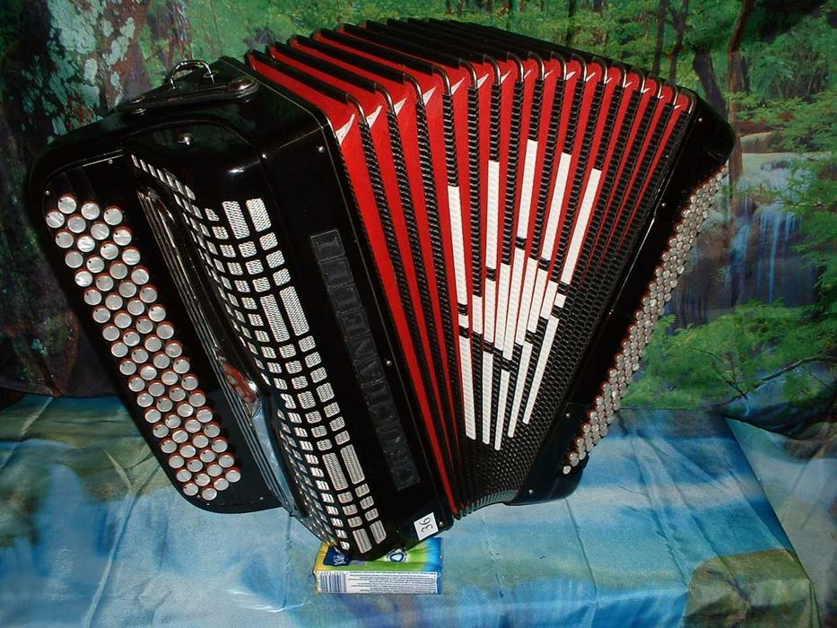 Promoção de Acordeões de concertinas