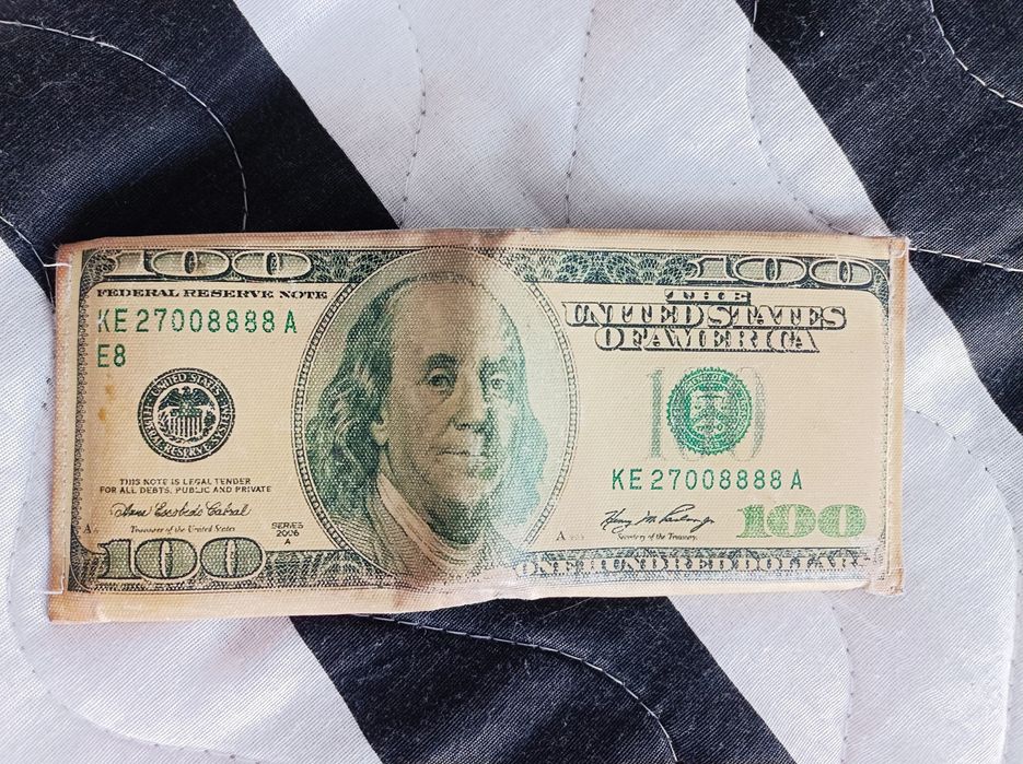 Portfel dolary euro, płótno NOWY