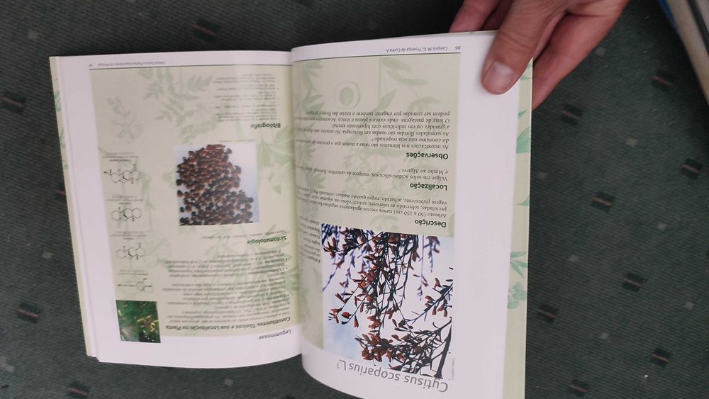 Efeitos tóxicos no Homem, Animais Domésticos provocados por Plantas espontâneas de Portugal