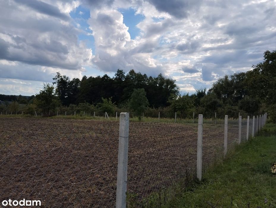 Piękna malownicza działka w Biejkowie nad rzeką Pilicą - Widok 4
