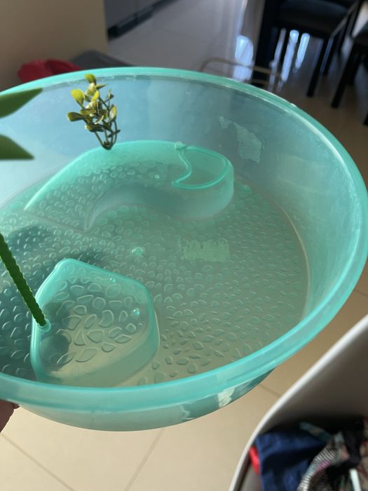 Aquario tartarugas