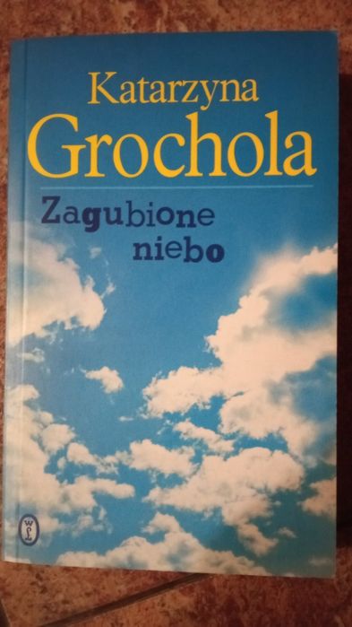 Książka Zagubione niebo Grochola