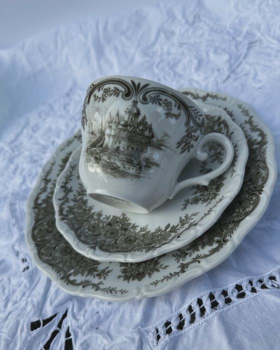 Посуда  винтаж Seltmann Weiden холмы рейна  в идеале