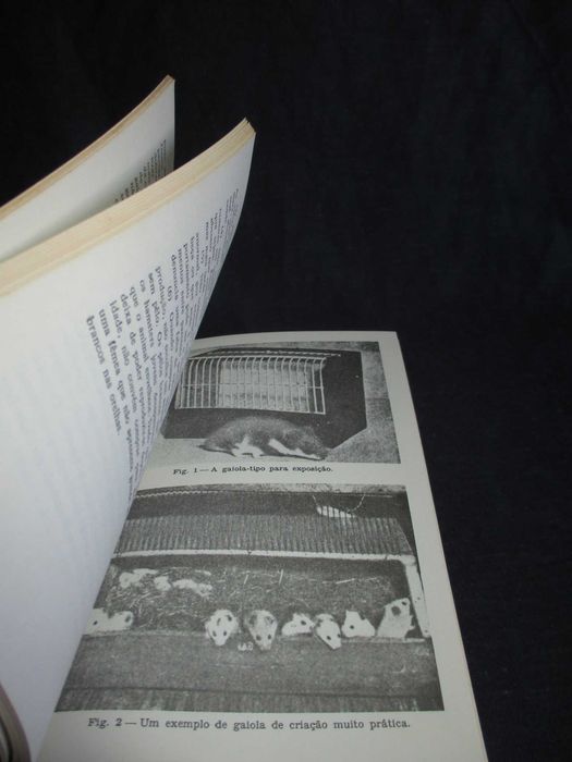 Livro A Criação de Hamsters C. F. Snow