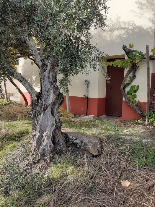 Fabulosa propriedade composta por casa, terrenos e nascente de agua