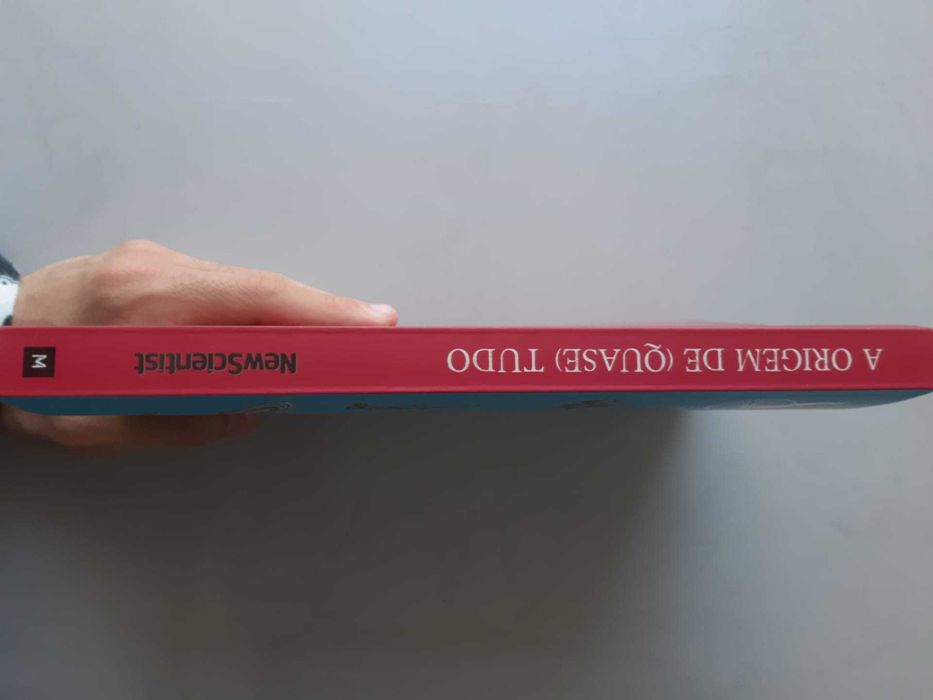 A Origem de (Quase) Tudo