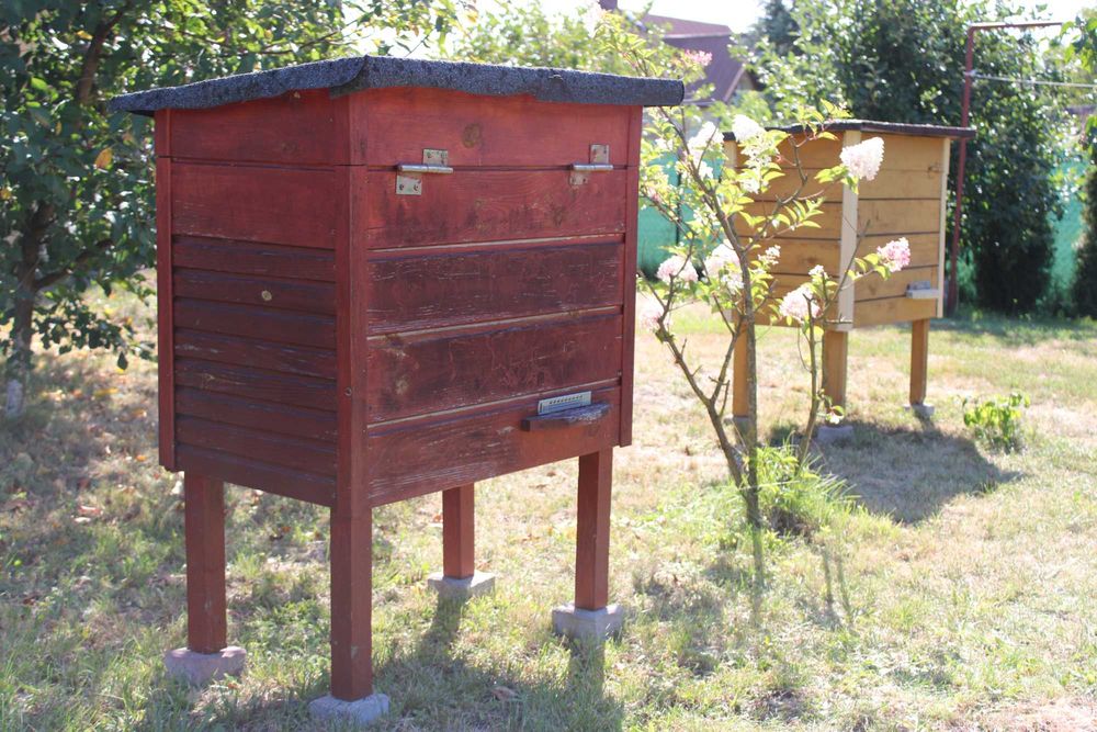 Sprzedam 2 ule woj. Podlaskie