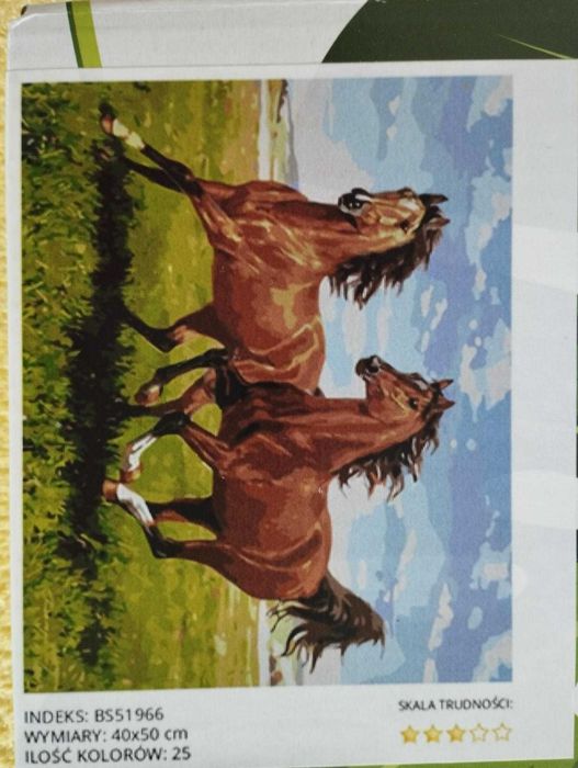 Obraz do malowania po numerach. Konie