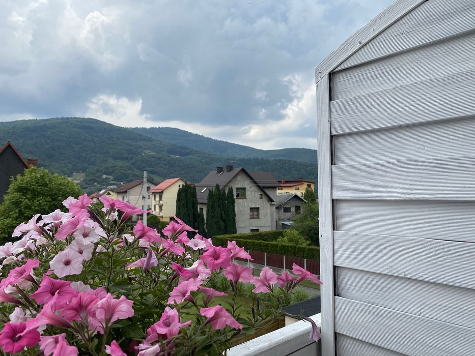 Lato  w górach, nad jeziorem . Apartamenty  z balkonami