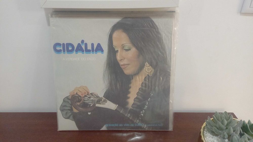 Discos de vinil rock fado soul e outros