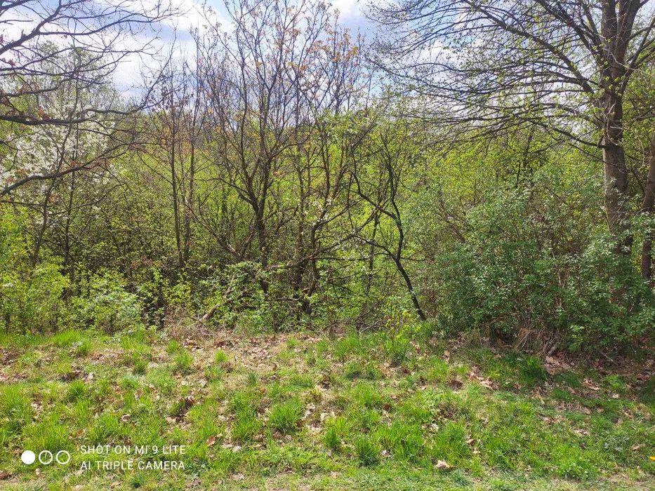 Продаж ділянки 0,051 га в Рокитне