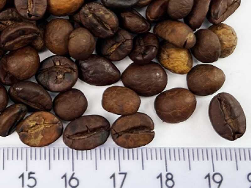 Kawa całe ziarno prażona Arabica i Robusta 15 kg Italian style