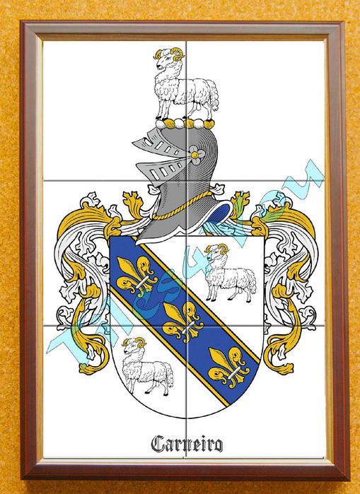 Brasões de armas de famílias portuguesas.