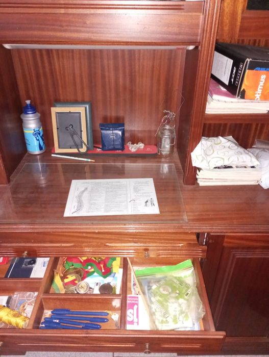 Secretária -estante em madeira de mogno