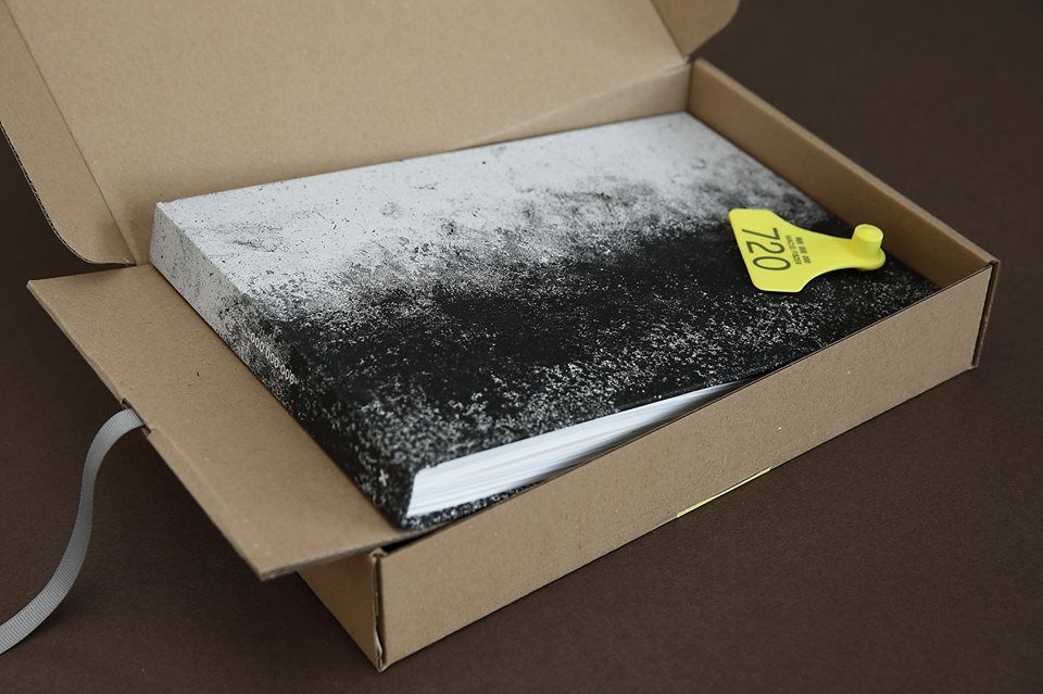 Album fotograficzny o życiu świnek Maciej Fiszer