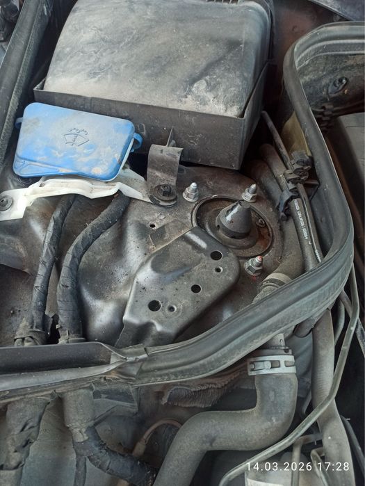 Продам живого W211