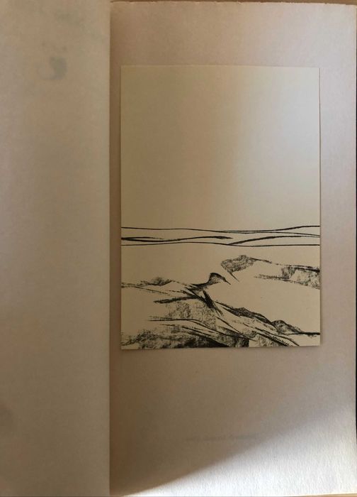 Alentejo não tem Sombra - Eugénio de Andrade