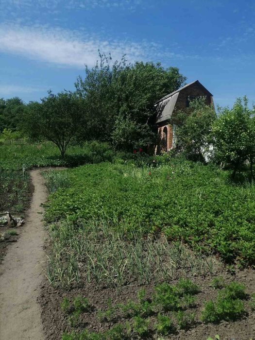 Продам ділянку в Лезнево