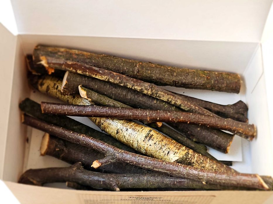 Gryzobox brzozowy - suszone gałązki brzozy dla królika i gryzonia 100g