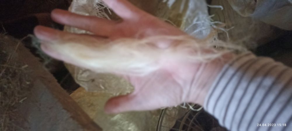 Продам вовну, шерсть з овець, не миту .