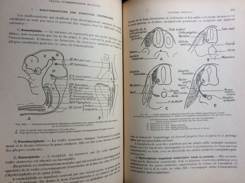 Leçons d'Embryologie Humaine, 1929. Raro