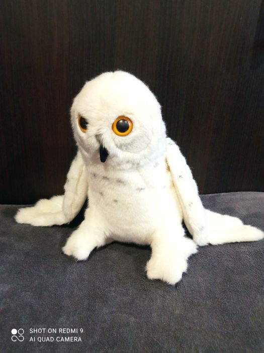 Кот, белая сова Хедвиг, собака