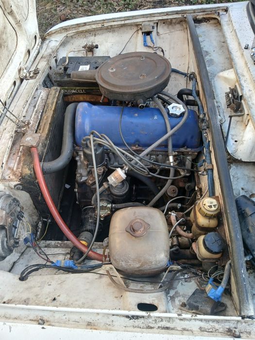 Продам заводиться йде трошки нада по у хаживать