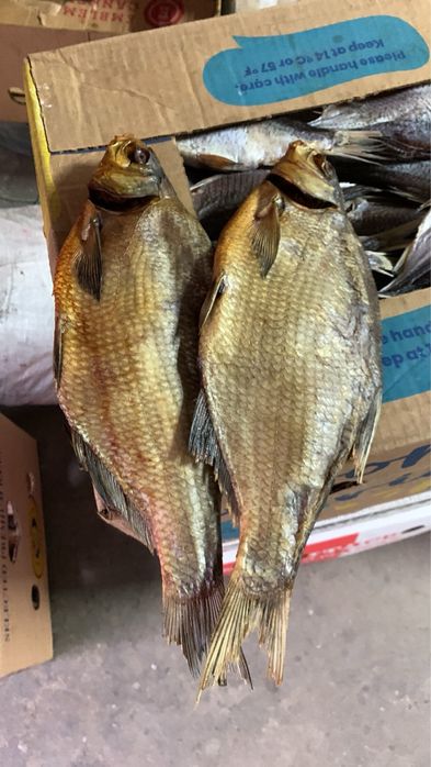 Лещ с икрой и другая речная рыба