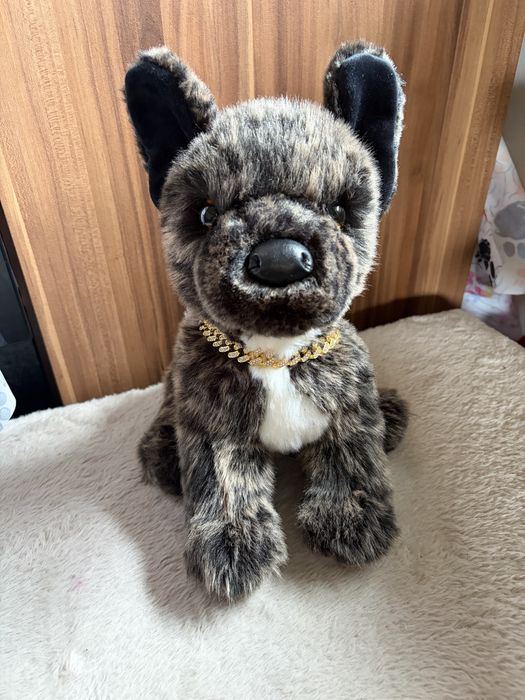 Douglas buldog francuski essa