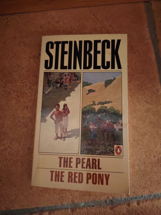 Livro antigo Steinbek