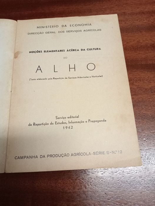 Cultura do alho, melão, batata, abóbora e pepino