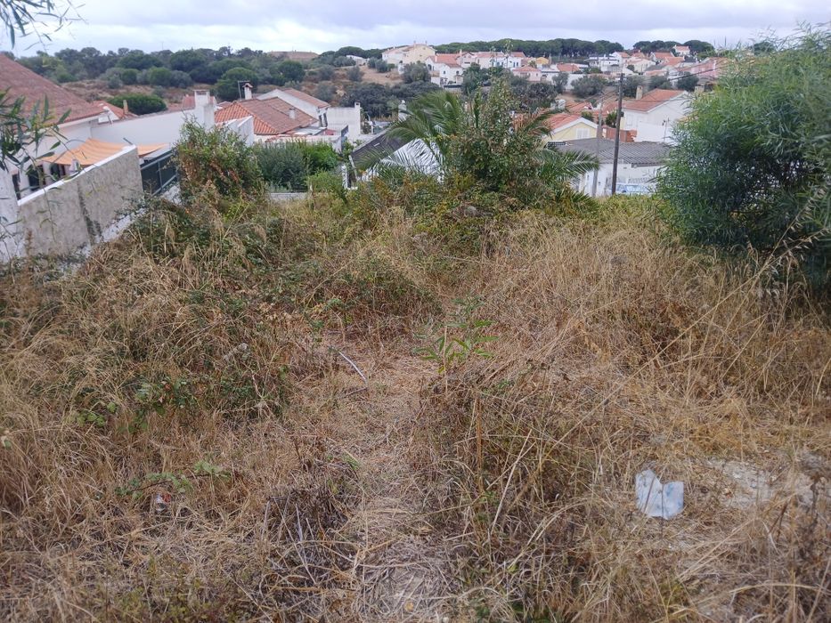 Limpeza de terrenos e manutenção jardins
