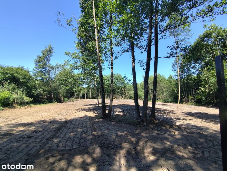 Działka budowlana 1500 m² Radonie - Widok 4