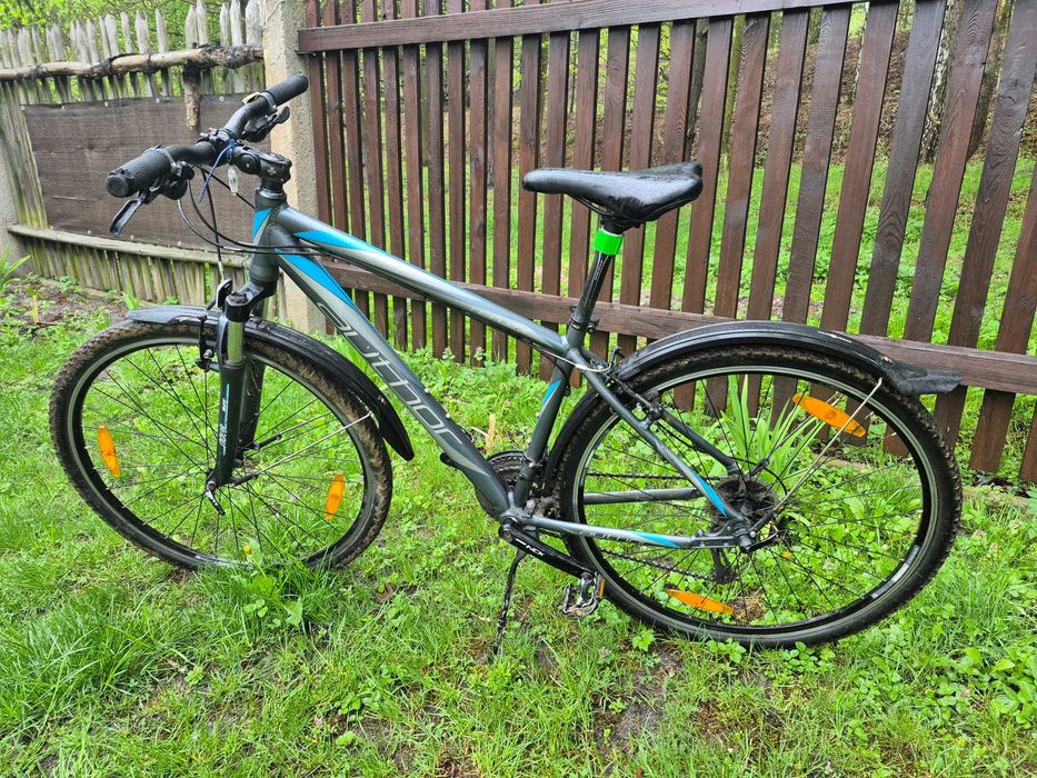 Author REFLEX, rama 18