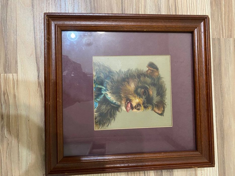 Гравюра 1870 року (Рекс)