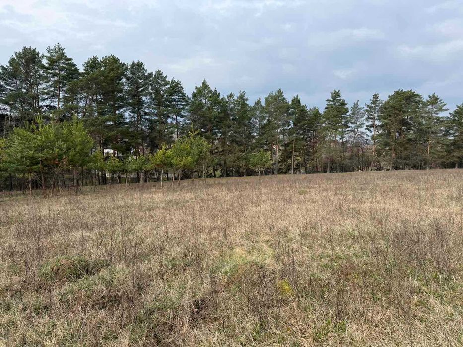 (5) Продам земельну ділянку в Стрижавці 8116