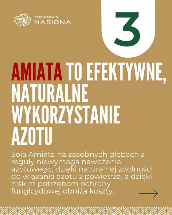 Nasiona soi Amiata - plonem wymiata! Gotowe do siewu, C1