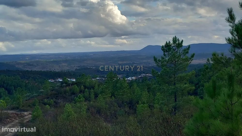 Terreno Rustico Atalaia-Sarnadas de Rodão
