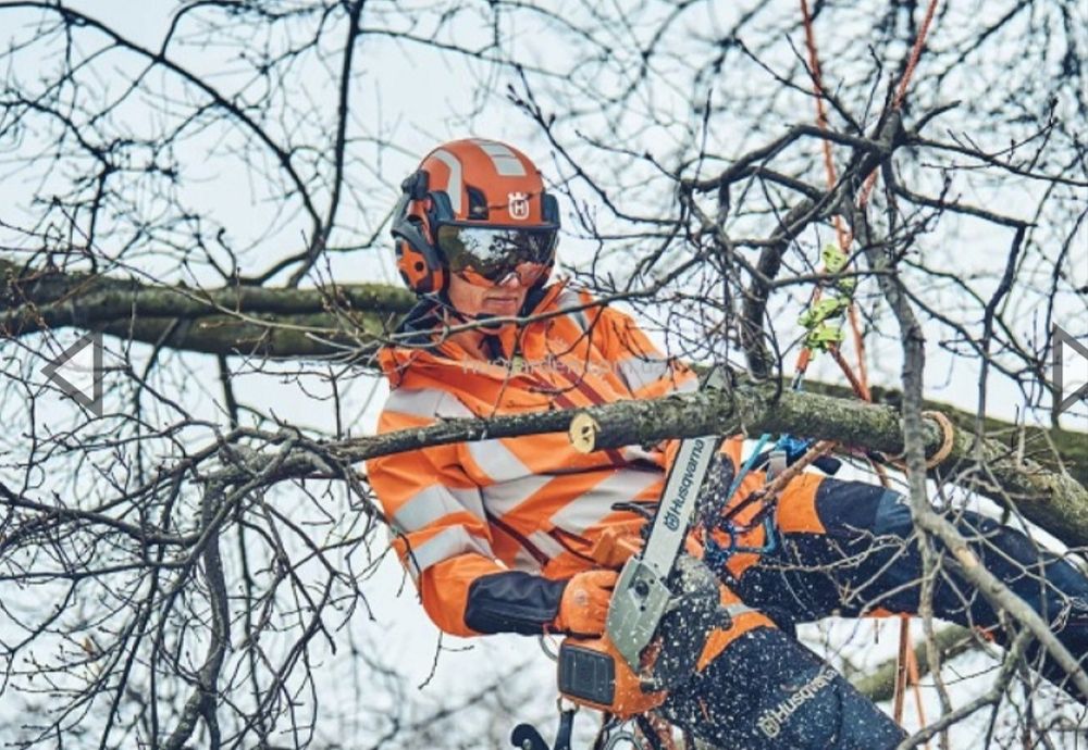 Спил аварійних дерев любої складності.Сумська,Чернігівська
