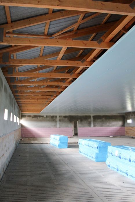 Izolacja Styrodur XPS AGRO Stropu Dachu Tuczarni Chlewni Obory Kurnika