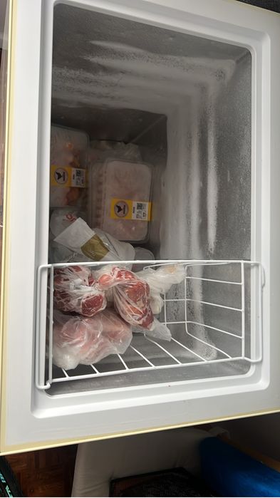 Vendo arca congeladora em bom estado